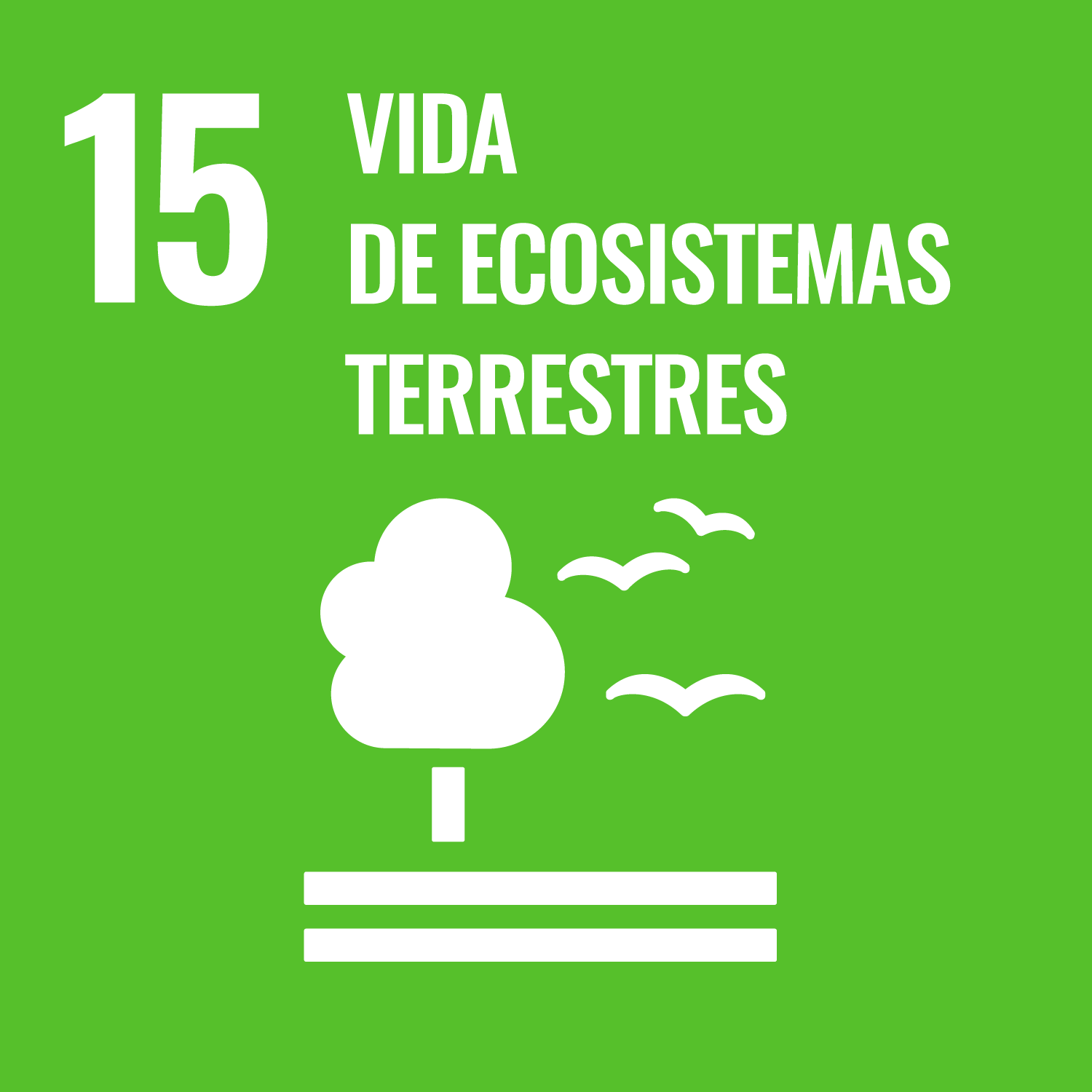 Logo ODS 15