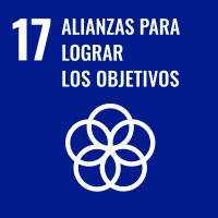 Logo ODS 17
